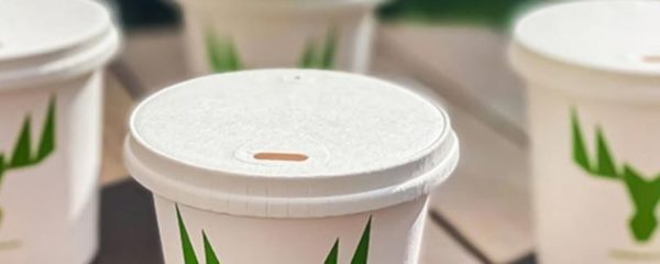 gobelets en carton
